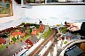 akseltogbane026.jpg